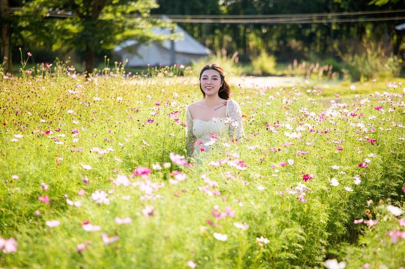 Cánh đồng hoa cánh bướm chụp ảnh tại Sachi Nhơn Trạch